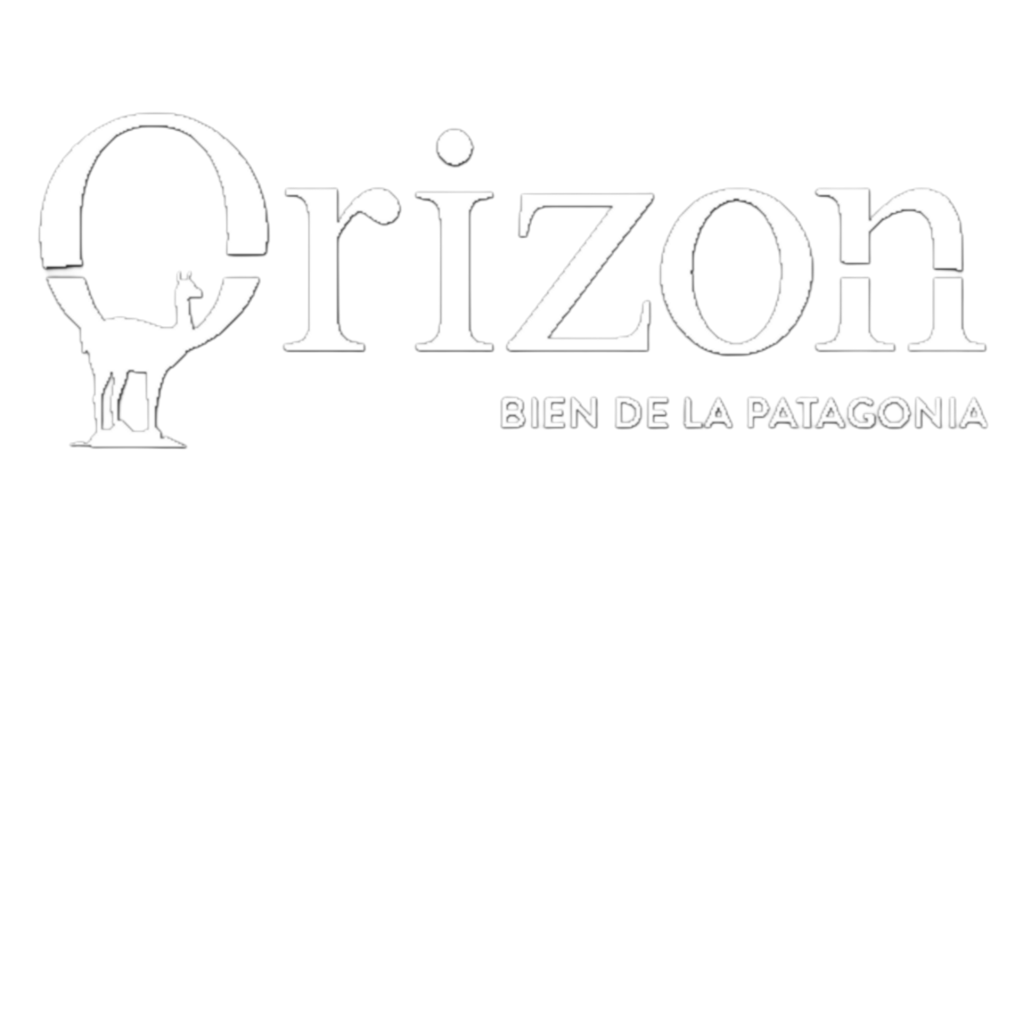 Sponsor ORIZON